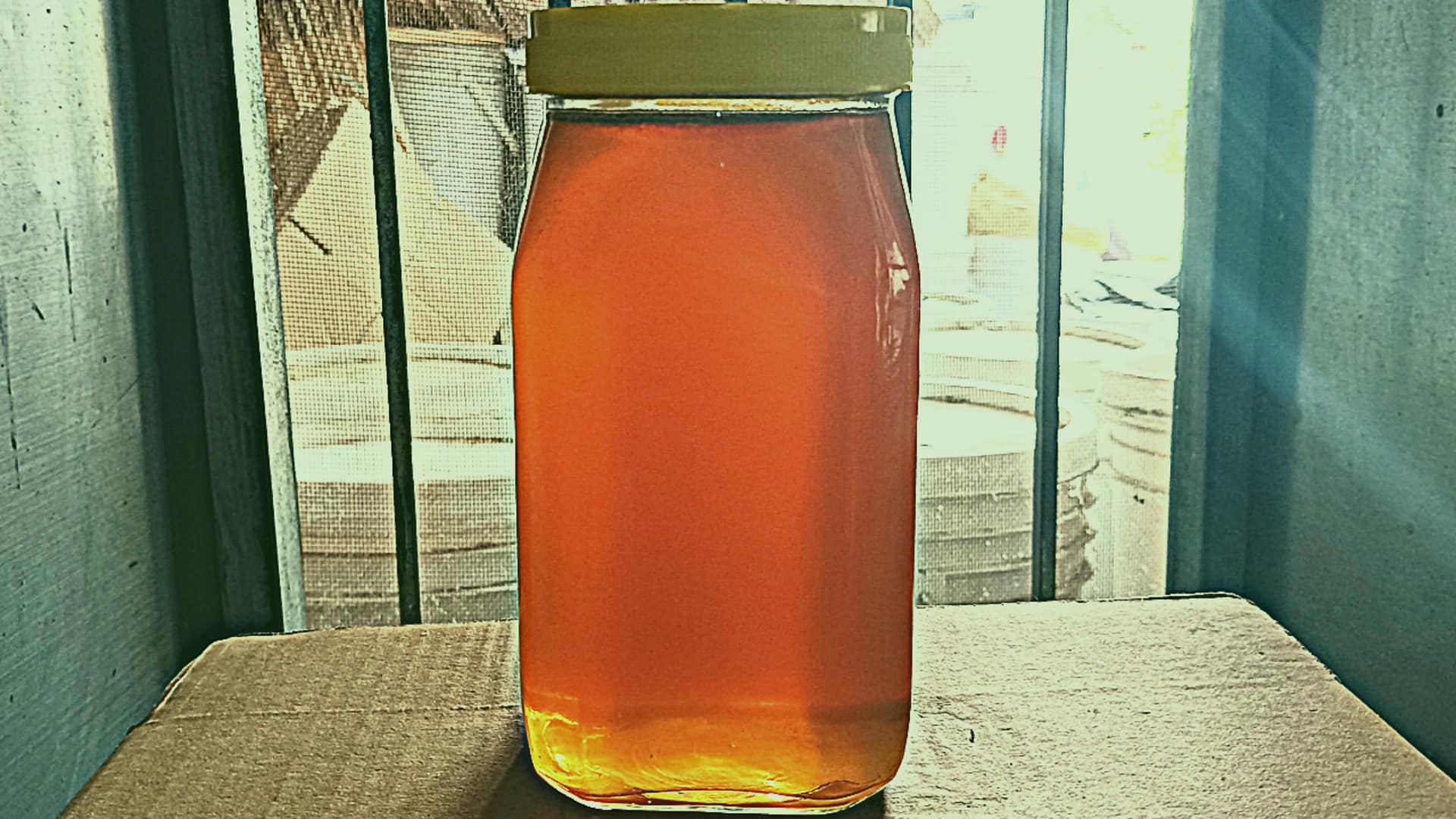 Desi Makhi Honey 1kg - Image 2