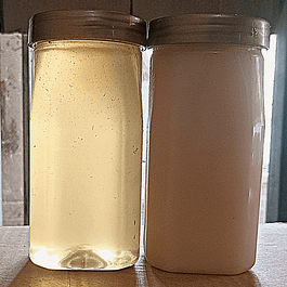 Combo Super Mustard Honey & Kashmiri Acacia
