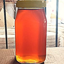 Wild Forest Honey 1kg