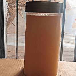 Mustard Honey 1kg