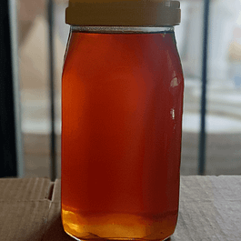 Eucalyptus Honey (Safeda) 1kg