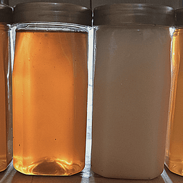 Combo Super Mustard, Neem, Desi Makhi honey, Wild Forest