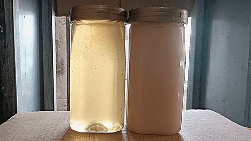 Combo Super Mustard Honey & Kashmiri Acacia - Image 2