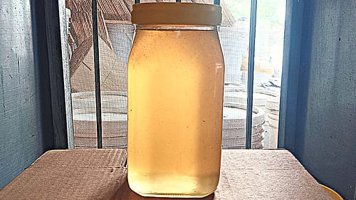 Kashmiri Acacia Honey 1kg - Image 2