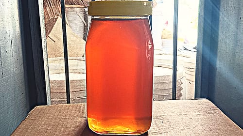 Wild Forest Honey 1kg - Image 2