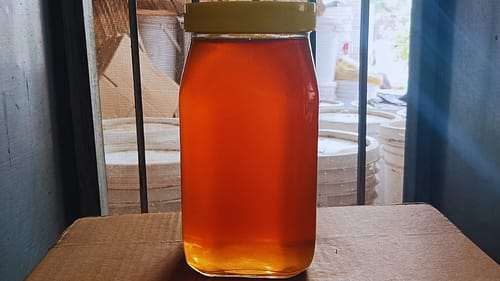 Jamun Honey 1kg - Image 2