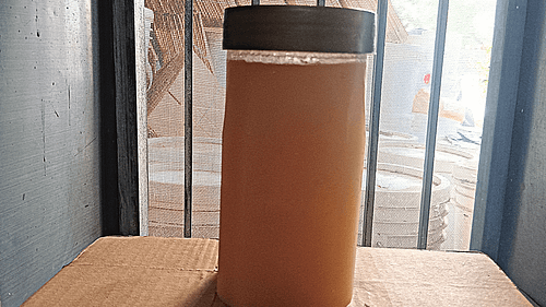 Mustard Honey 1kg - Image 2