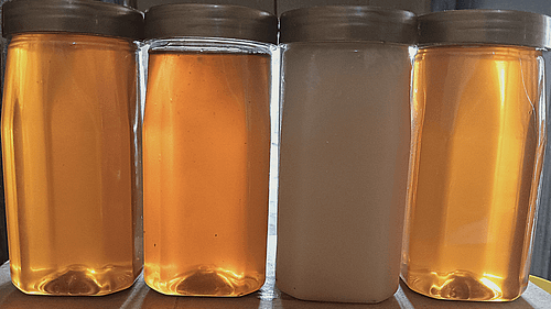 Combo Super Mustard, Neem, Desi Makhi honey, Wild Forest - Image 2