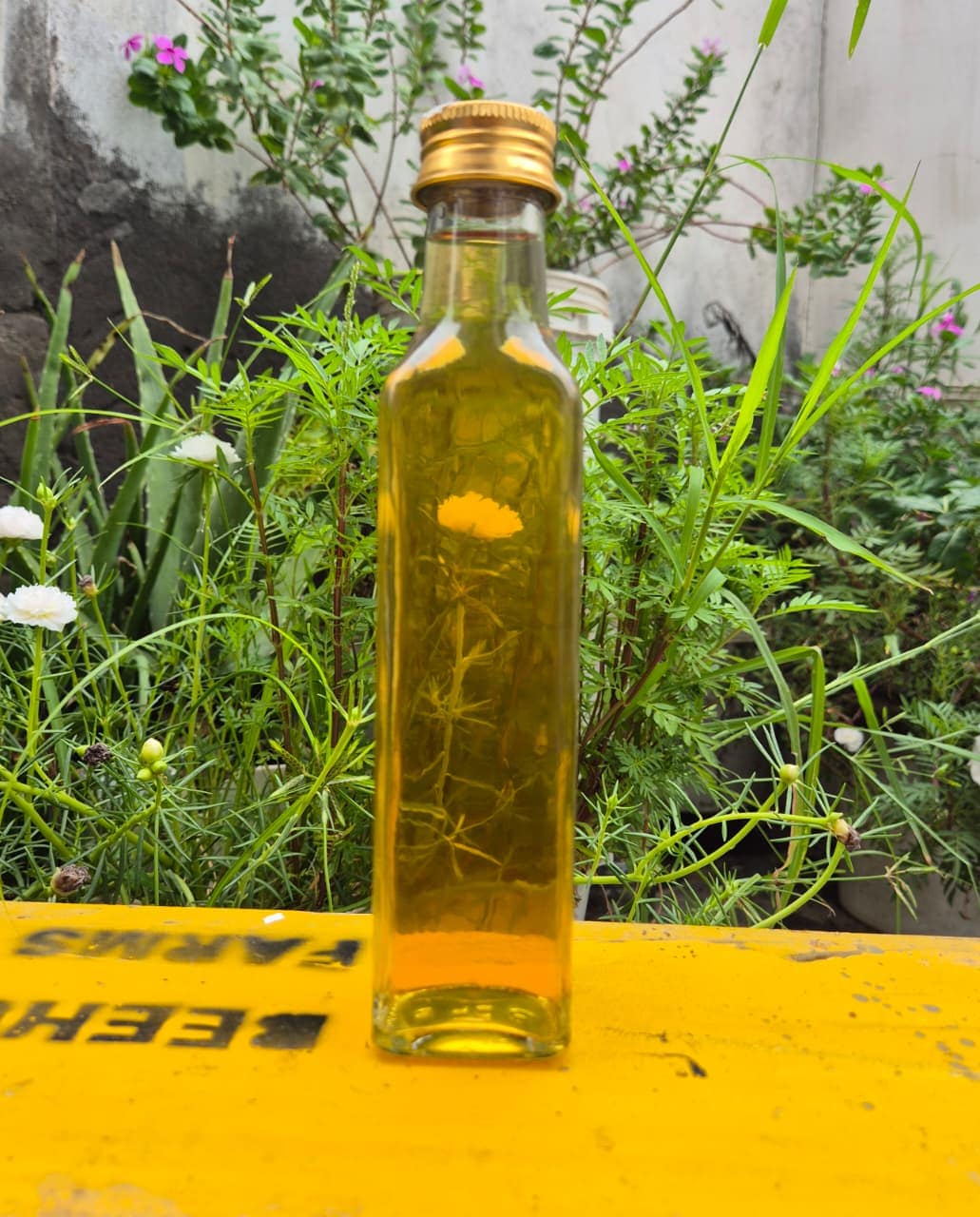 Honey Vinegar 250 ml